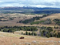 Yellowstone (76).JPG